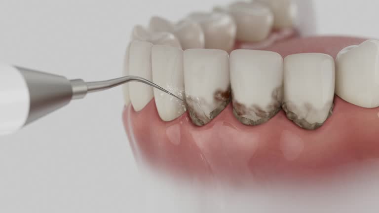Reliable Dental contractor in Rockdale, TX by Dentist Open Now